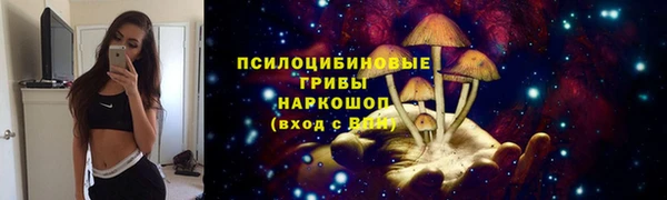 соль курить ск Медвежьегорск