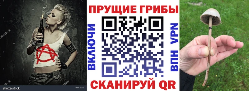 Псилоцибиновые грибы ЛСД  закладки  Дмитровск 